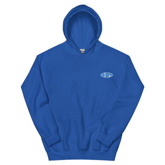 Streetwise Unisex Hoodie Sky blue